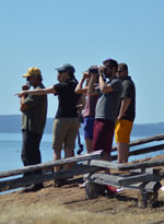 group watching water
